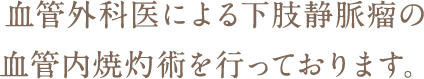 血管外科医による下肢静脈瘤の血管内焼灼術を行っております。